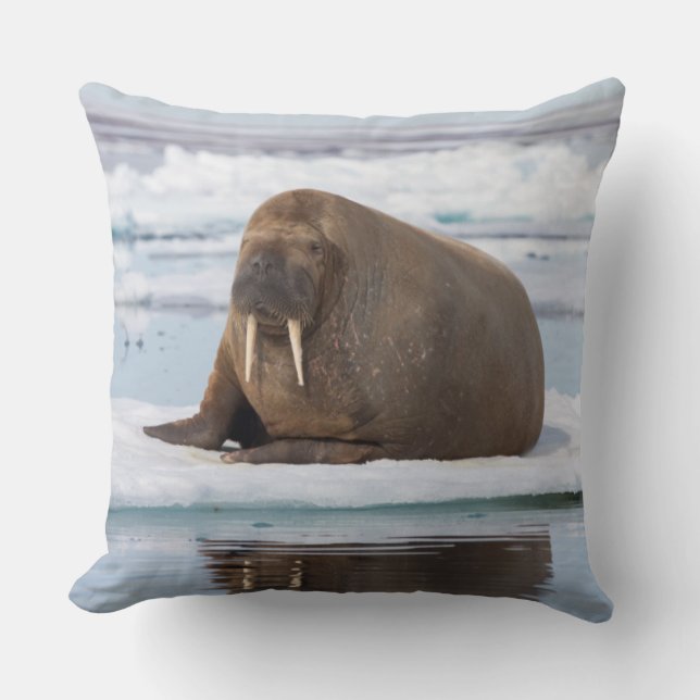 Walrus resting on ice, Norway Throw Pillow (Front)