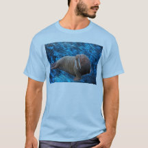 Walrus shirt