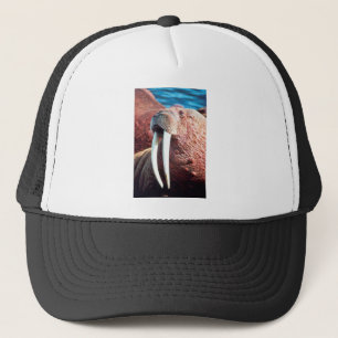 Walrus Trucker Hat
