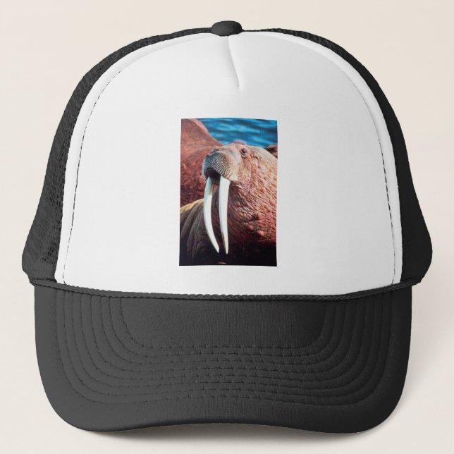 Walrus Trucker Hat (Front)