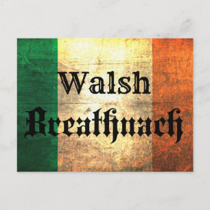 Walsh Irish Flag Postcard