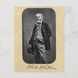 Walt Whitman Age 41 Portrait Postcard