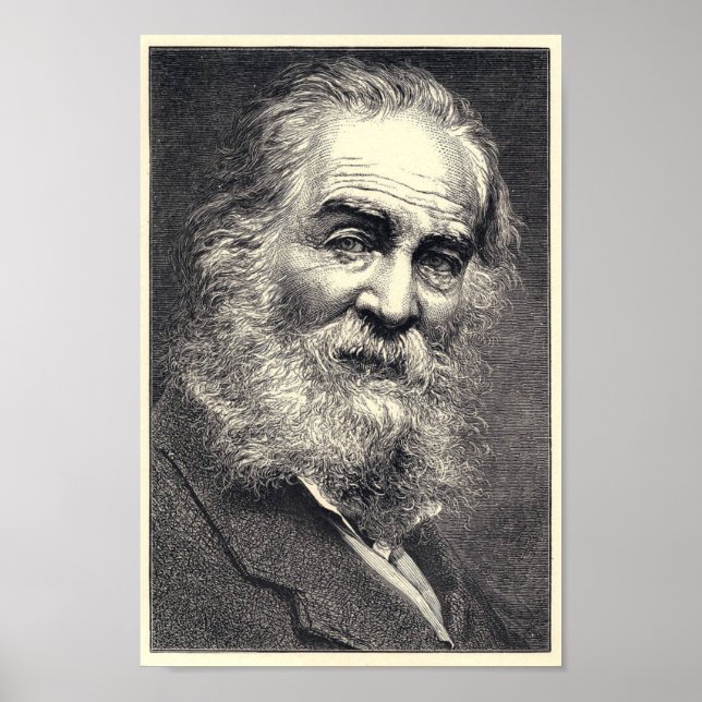 Walt Whitman Engraving, Age 52 Poster (Front)