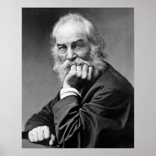 Walt Whitman Essential Portrait, Age 50 Poster