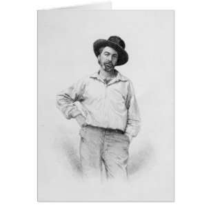 Walt Whitman, frontispece aux "Feuilles de