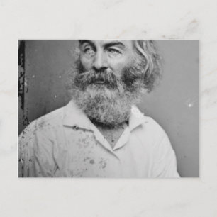 Walt Whitman Postcard