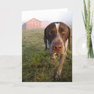 Walter Barn Notecard