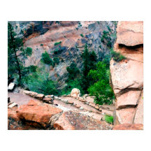 Walters Wiggles Zion National Park Utah
