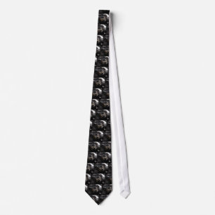 Walther PP Tie