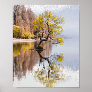 Wanaka Tree Autumn Nature Landscape Poster