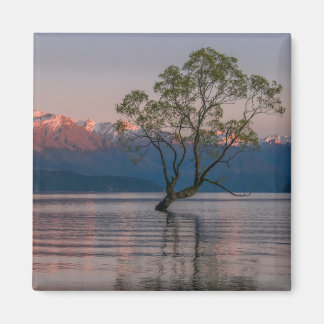 Wanaka Tree, New Zealand Magnet