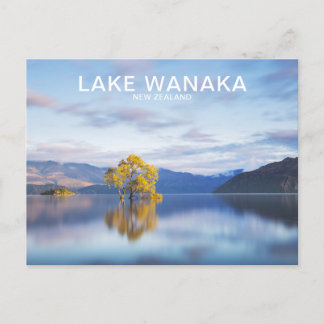 Wanaka Tree New Zealand Travel Postcard