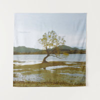 Wanaka Willow