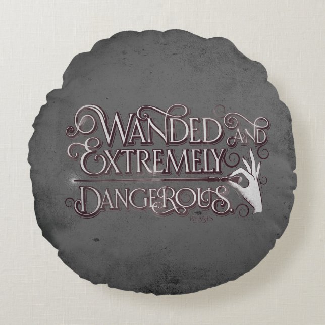 Wanded And Extremely Dangerous Graphic - White Round Pillow (Front)