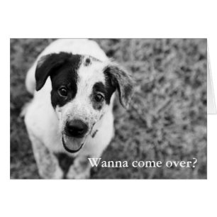 Wanna come over?