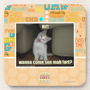 Wanna come see mah fort? coaster