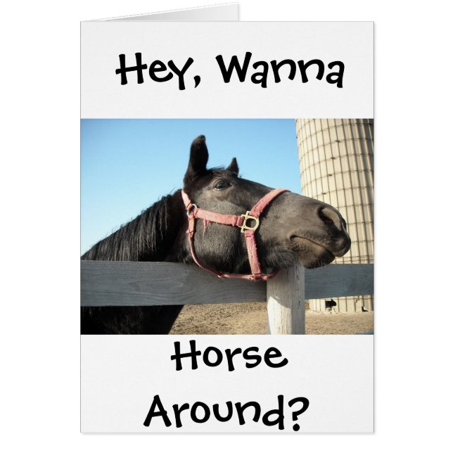 Wanna Horse Around (Front)