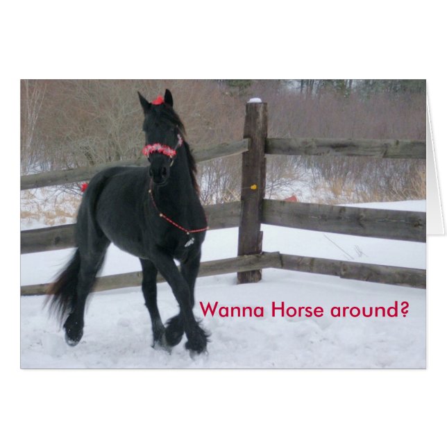 Wanna Horse... - Customized - Customized (Front Horizontal)