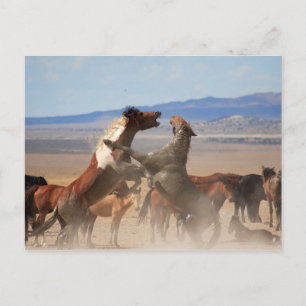 Wanna Piece Of Me? Postcard