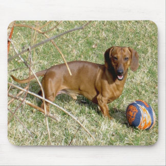 Wanna Play? Mouse Pad