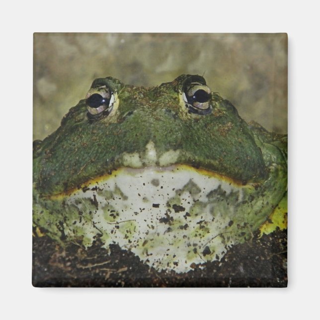 wanna smooch? magnet (Front)