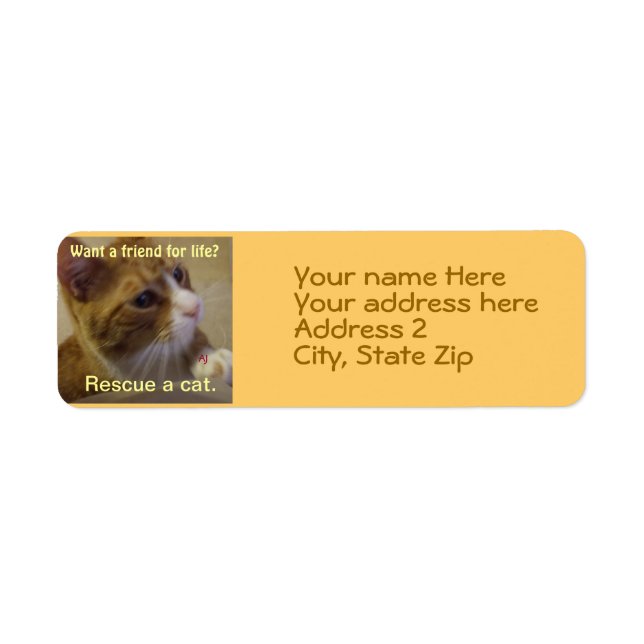 Want a Friend for Life? (Front)
