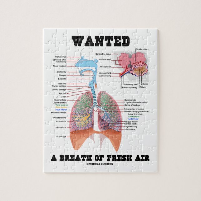 Wanted A Breath Of Fresh Air (Respiratory System) Jigsaw Puzzle (Vertical)
