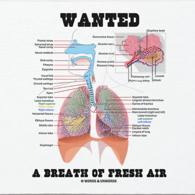 Wanted A Breath Of Fresh Air Respiratory System Mouse Pad (Respiratory system attitude mousepad featuring the medical saying: "Wanted A Breath Of Fresh Air")