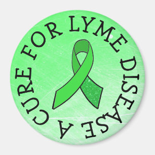Wanted: A Cure for Lyme Disease Magnet