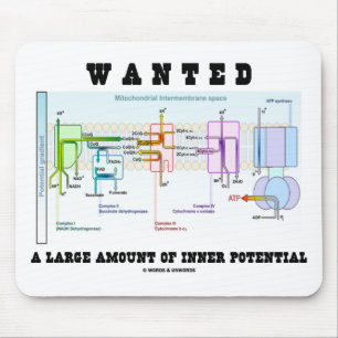 Wanted A Large Amount Of Inner Potential Mouse Pad