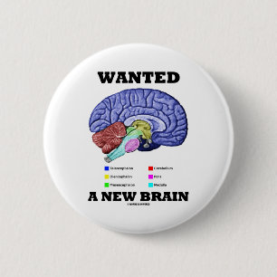 Wanted A New Brain (Anatomical Brain Attitude) 2 Inch Round Button