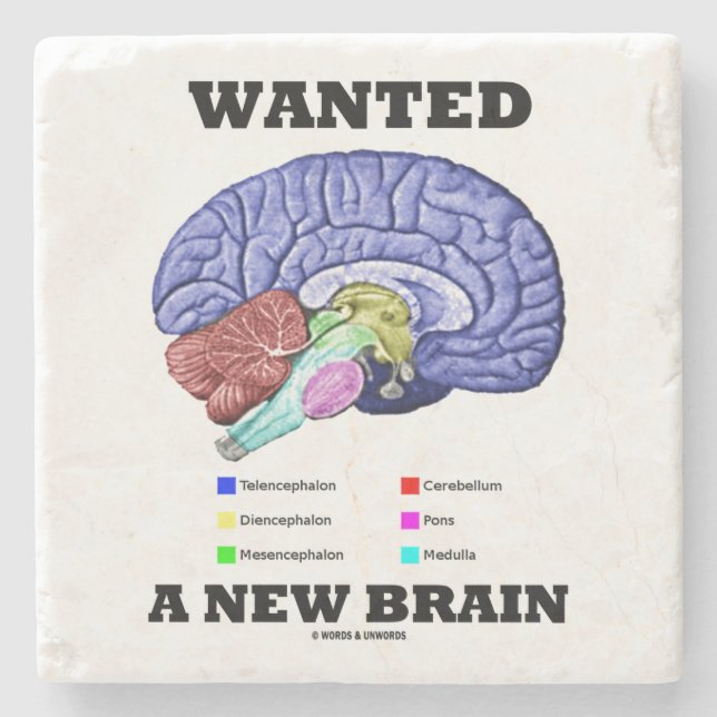 Wanted A New Brain Anatomical Brain Humour Stone Coaster (Front)