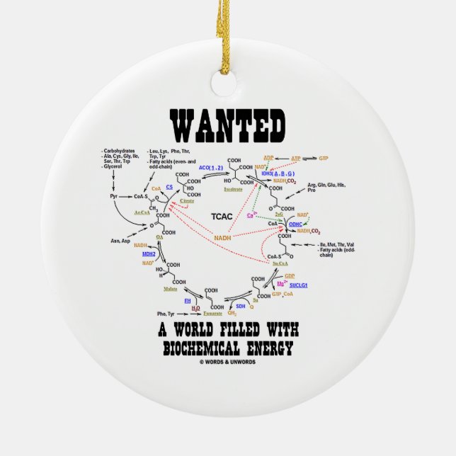 Wanted A World Filled With Biochemical Energy Ceramic Ornament (Back)