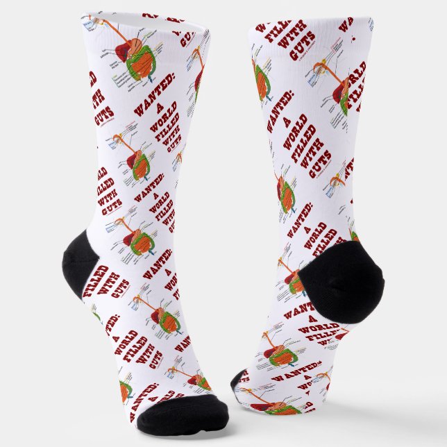 Wanted A World Filled With Guts Digestive System Socks (Angled)