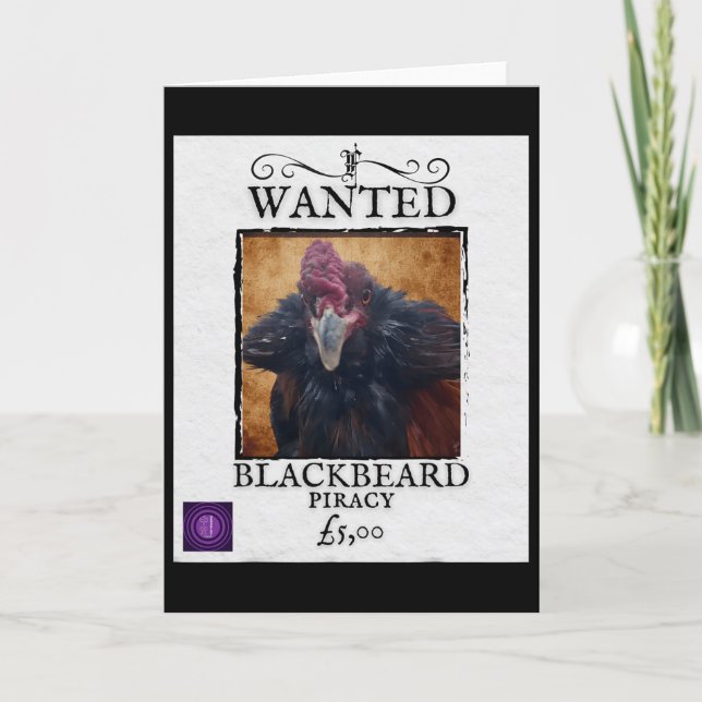 Wanted Blackbeard Chicken Funny Pirate Poster Desi Card (Front)