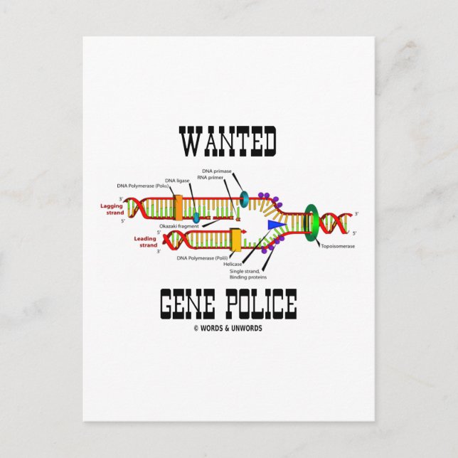 Wanted Gene Police (DNA Replication Humour) Postcard (Front)