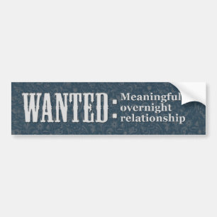WANTED Meaningful overnight relationship Bumper Sticker
