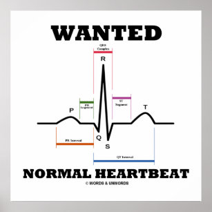 Wanted Normal Heartbeat ECG Electrocardiogram Poster