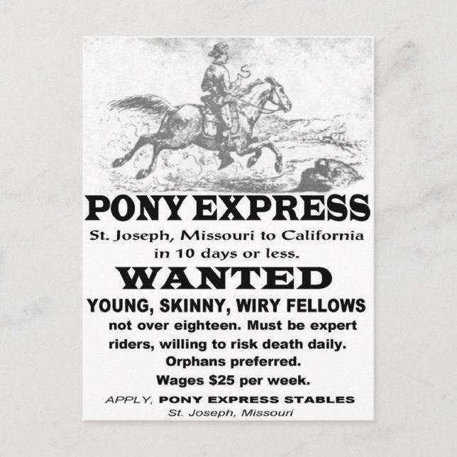 Wanted Pony Express Rider Postcard (Front)