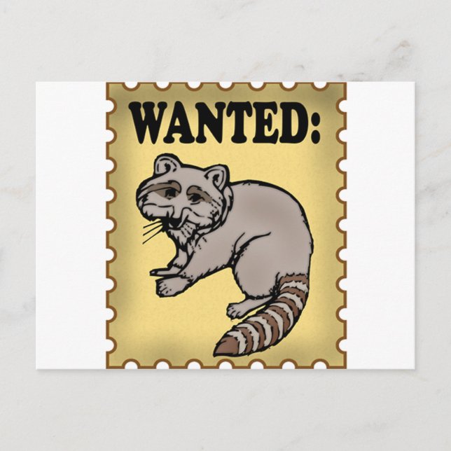 Wanted Raccoon Postcard (Front)
