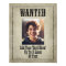 WANTED Wild West vintage