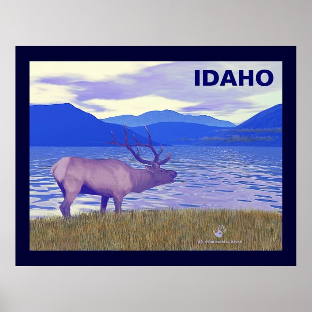 Wapiti (Elk) By The Lake Poster (Front)