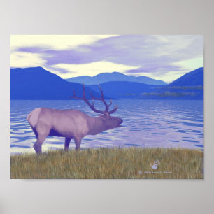 Wapiti (Elk) By The Lake Poster