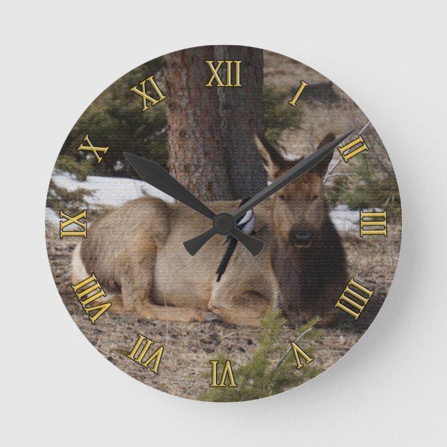 Wapiti (Elk) & Magpie Round Clock (Front)