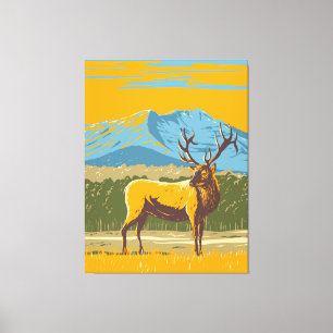  Wapiti in the Rocky Mountain National Park Canvas Print