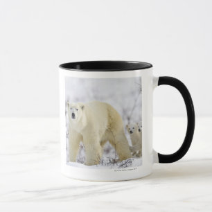 Wapusk National Park, Canada. Mug