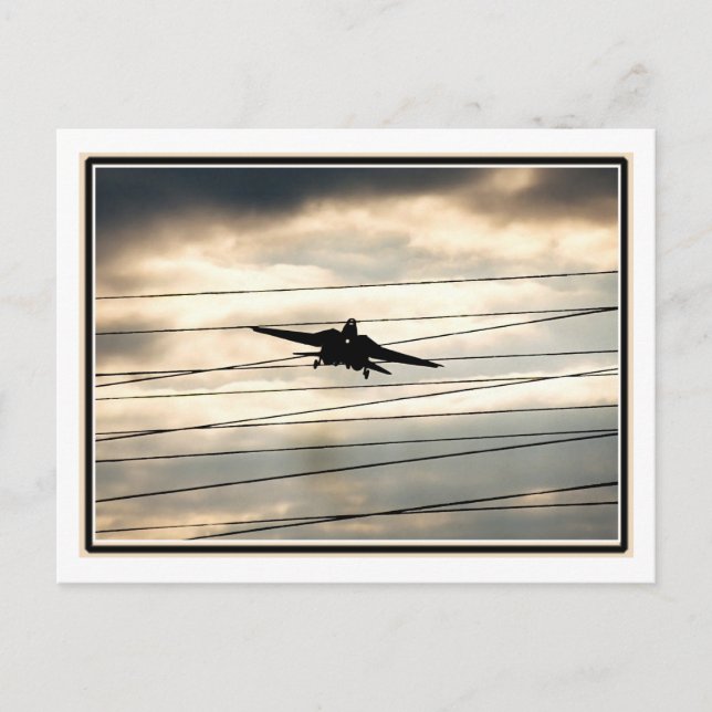 War Bird Postcard (Front)