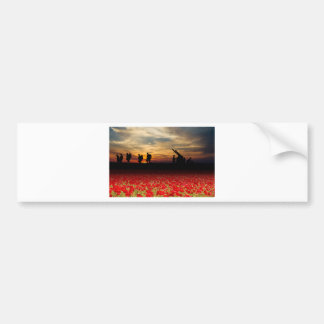 War Zone Bumper Sticker