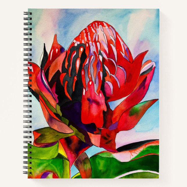 Waratah Australian native flower watercolor Notebook (Front)