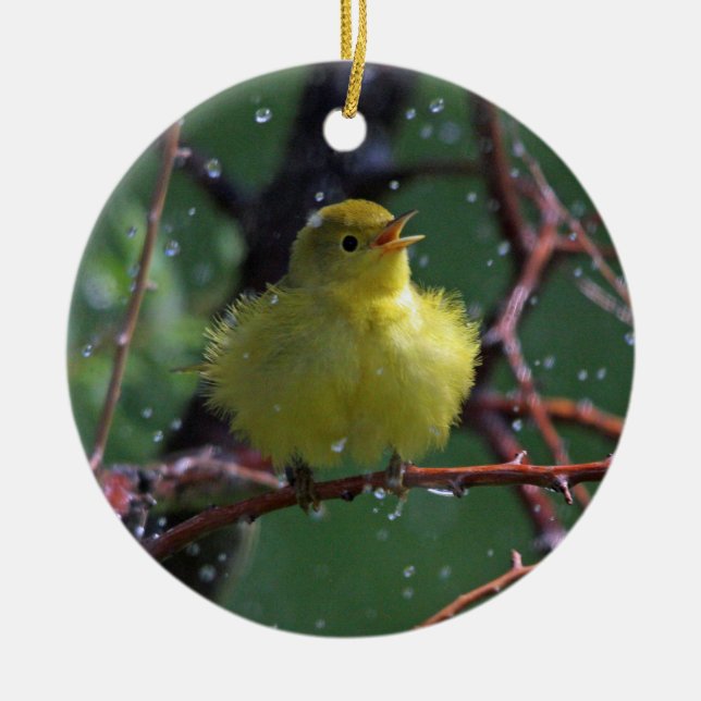 Warbler Ceramic Ornament (Front)